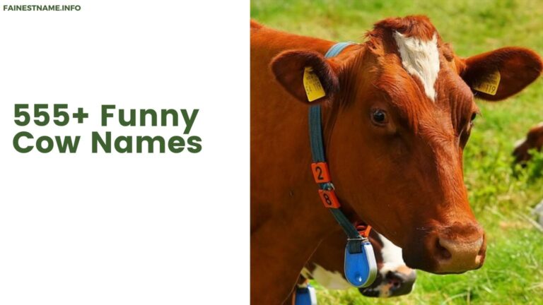 Funny Cow Names