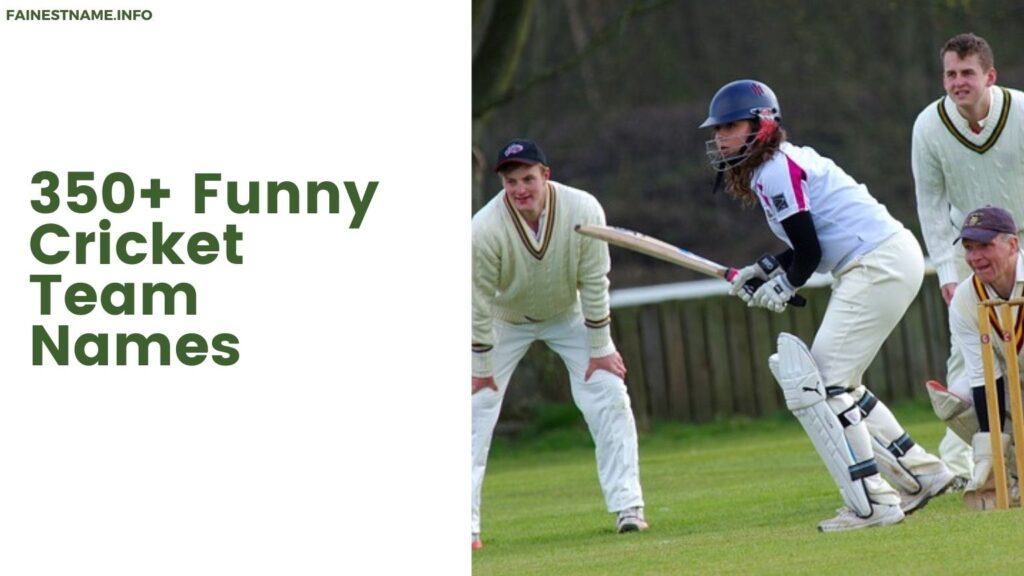 Funny Cricket Team Names