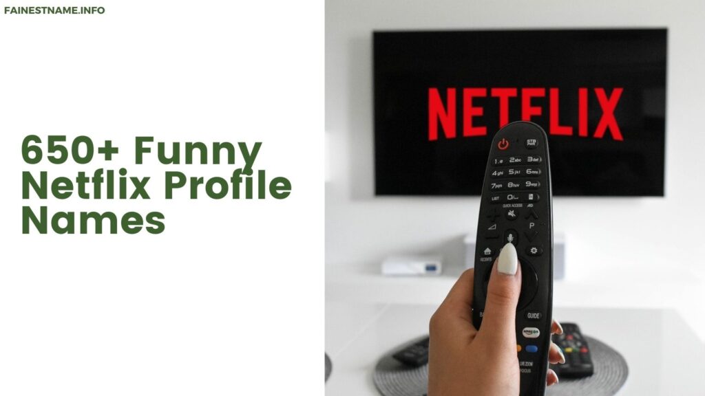 Funny Netflix Profile Names