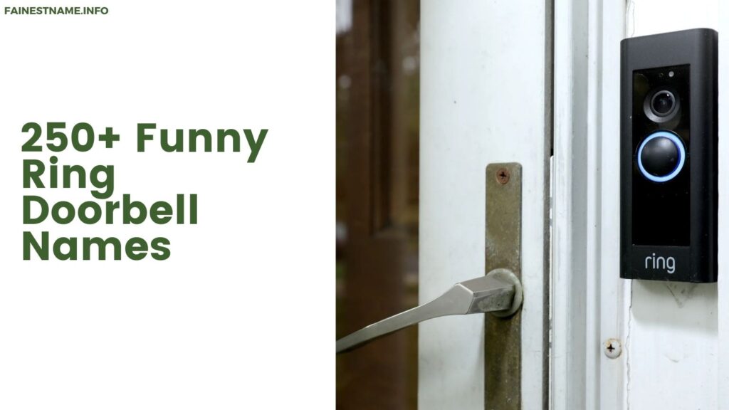 Funny Ring Doorbell Names