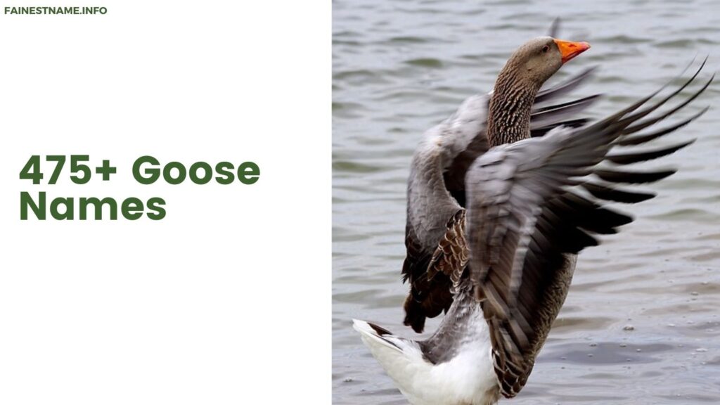 Goose Names